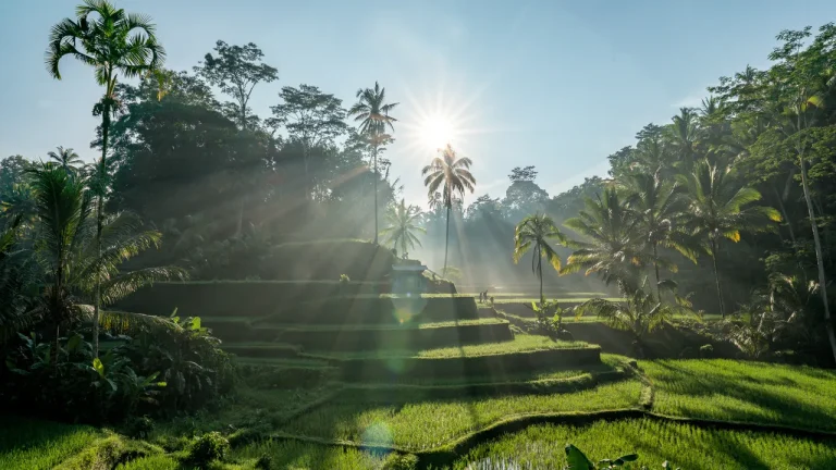 Bali