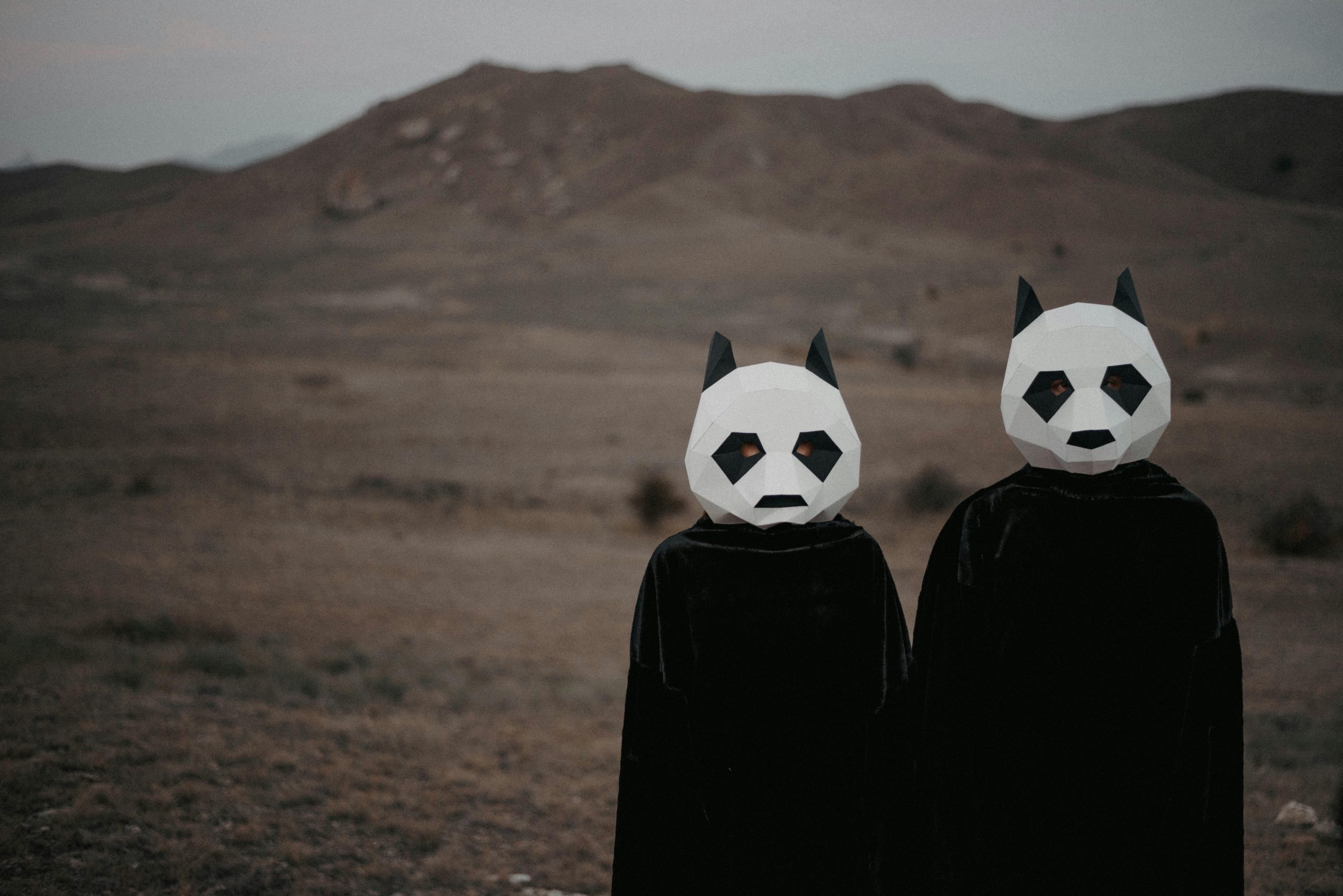 Neden Bir Panda İkonik Logonun Hikayesi