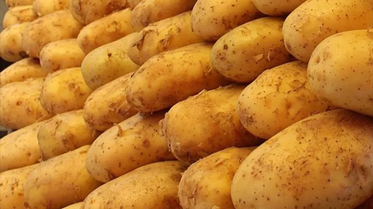 Rüyada Çürük Patates Görmek