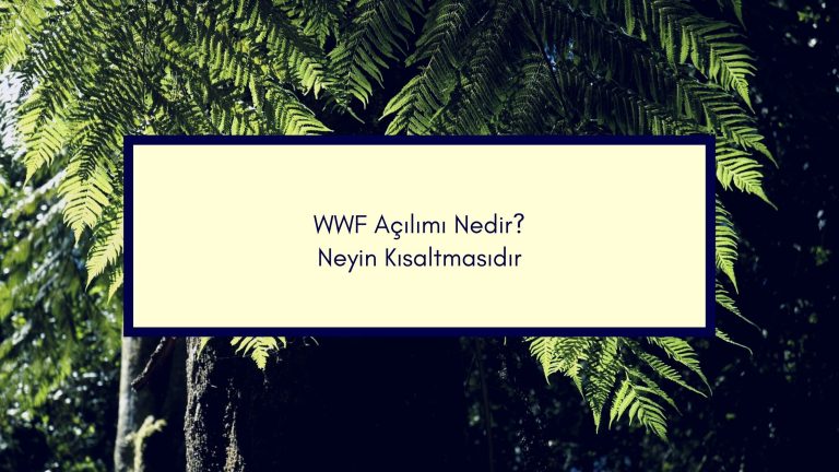WWF Acilimi Nedir