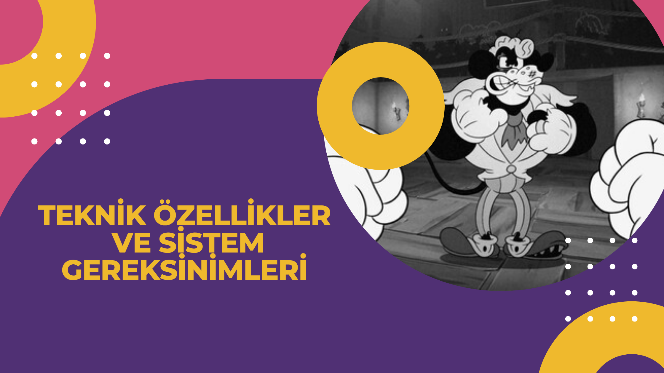 Teknik Özellikler ve Sistem Gereksinimleri